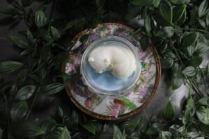 Ourson – Image 3
