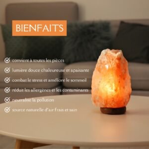 Lampe usb en Cristal de Sel s'Himalaya Rock 2 à 3 kg – Image 8