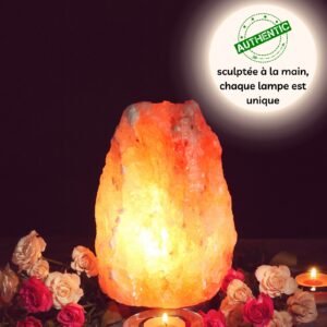 Lampe usb en Cristal de Sel s'Himalaya Rock 2 à 3 kg – Image 6