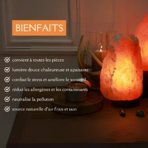 Lampe usb en Cristal de Sel d'Himalaya Rock – Image 3