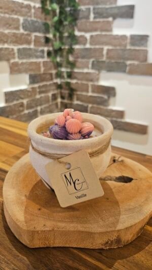 Succulente Enchantée – Image 2