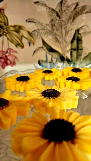Fondant Tournesol citronnelle