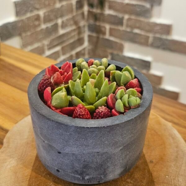 Serre aux Merveilles