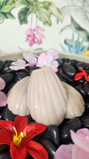 Fondant Madeleines Caramel beurre salé