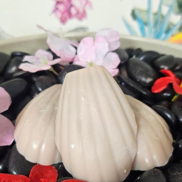 Fondant Madeleines Caramel beurre salé