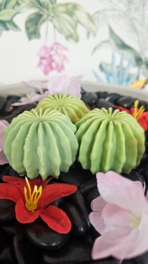 Fondant Cactus Mojito glacé