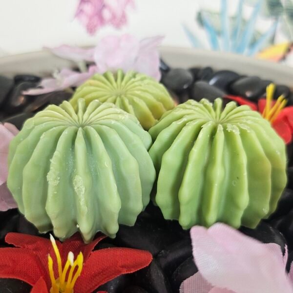 Fondant Cactus Mojito glacé