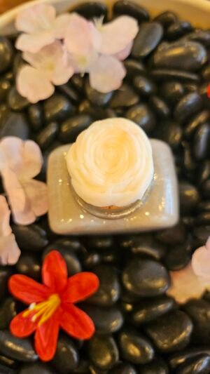 Cœur Tendre Noix de Coco – Image 2