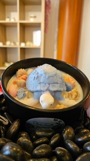 Tortue Marine bleue