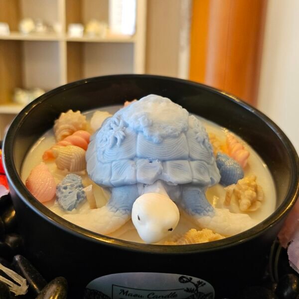 Tortue Marine bleue