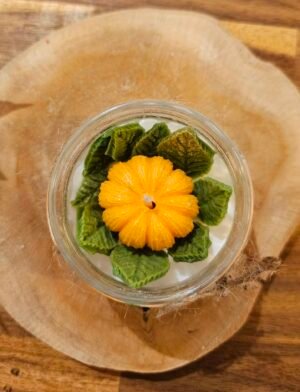 Citrouille – Image 2