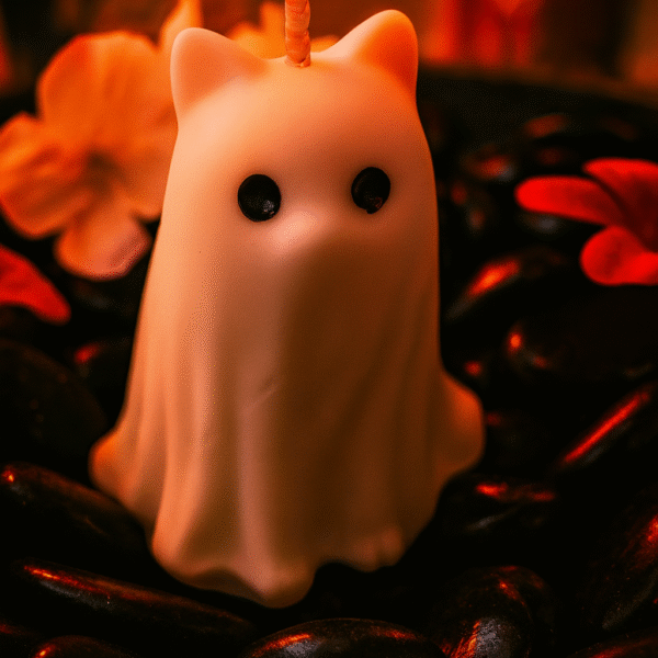 Chat fantôme
