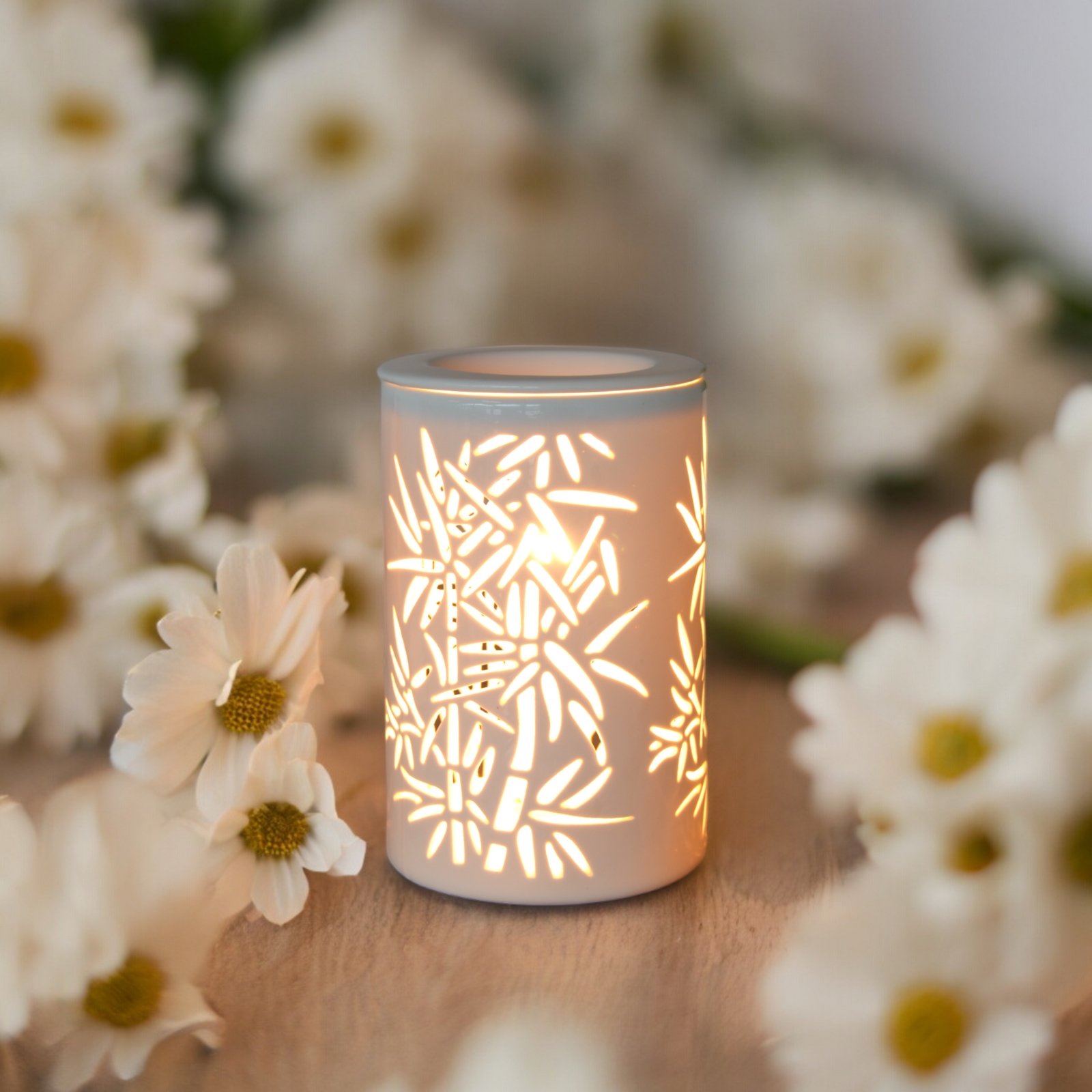 Calorya N° 5 – Image 3