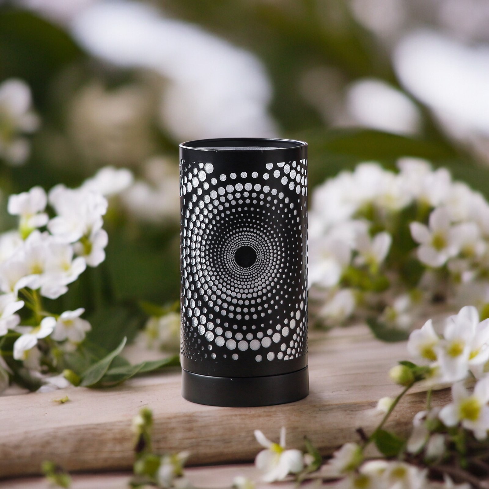 Calorya N° 12 – Image 4