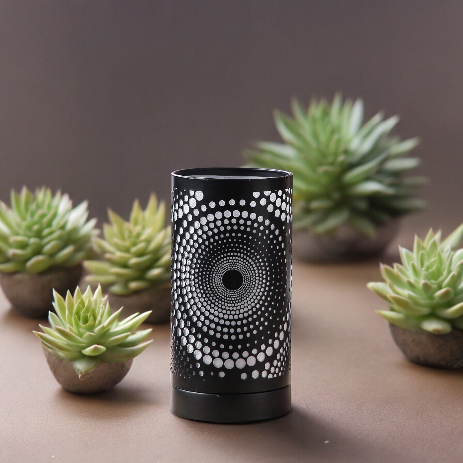 Calorya N° 12 – Image 3