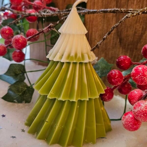 Sapin de Noel moulé 140g