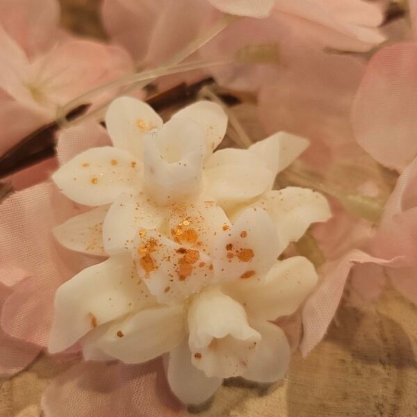 Fondant parfumé Monoï