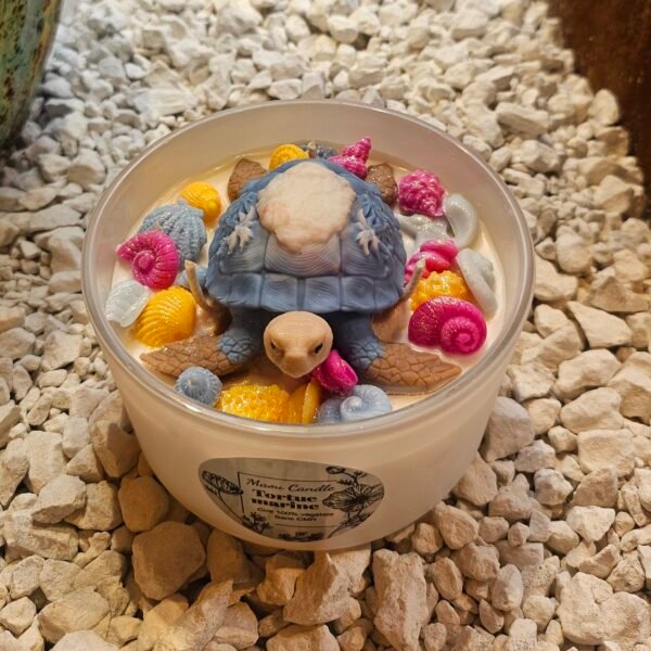 Tortue marine bleue