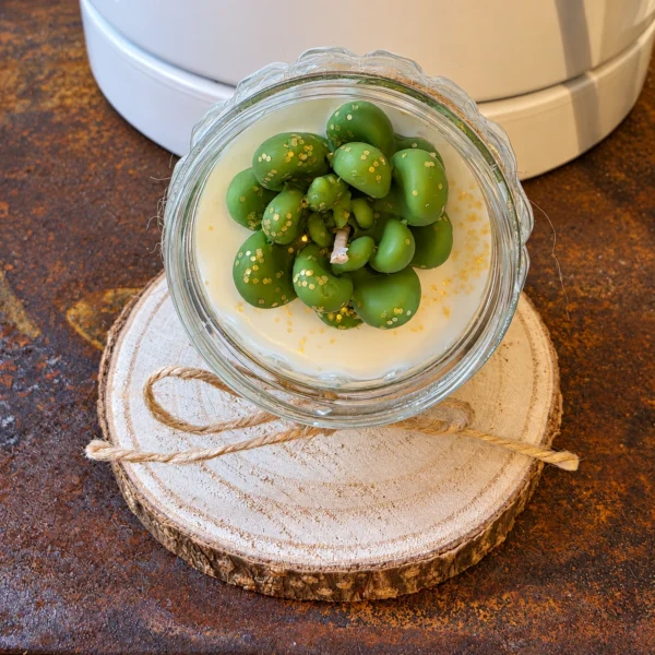 Bougie décorative Petite Plante Grasse avec succulentes vertes