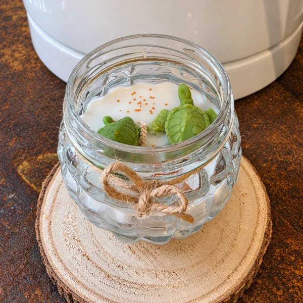 Bougie artisanale Tortues en pot en verre avec petites tortues vertes