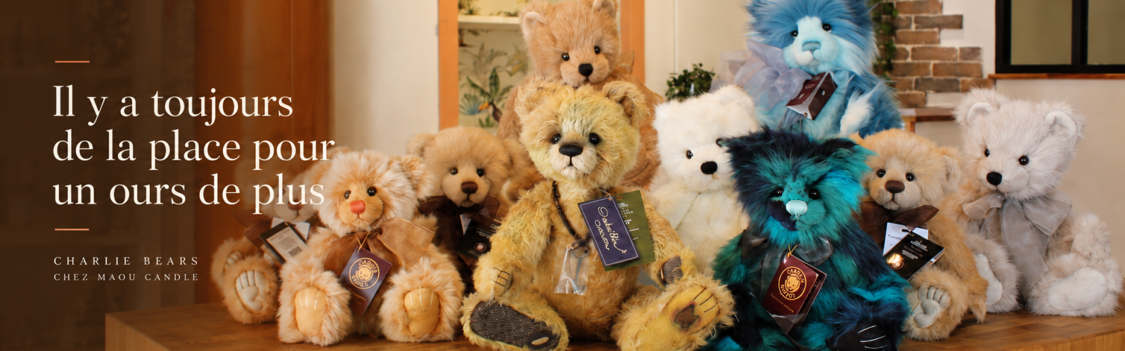 Collection d’ours Charlie Bears présentée dans la boutique Maou Candle à Montbrison.