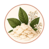 Cire végétale naturelle utilisée pour les bougies Maou Candle
